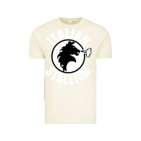 Vintage Arctic italian stallion Vintage Tee - artisFamous