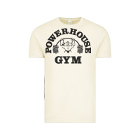 Vintage Arctic power hause gym Vintage Tee - artisFamous