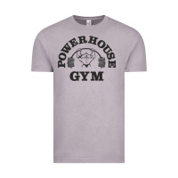 Vintage Zinc power hause gym Vintage Tee - artisFamous