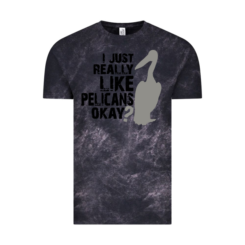 I Just Really Like Pelicans Okay Vintage Tee by artisFamous | Teevron
