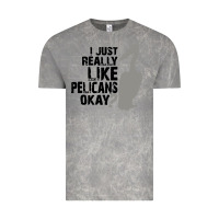 Cloud Rock i just really like pelicans okay Vintage Tee - artisFamous