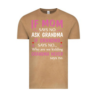 Vintage Camel if mom says no ask grandma if grandma says no Vintage Tee - artisFamous