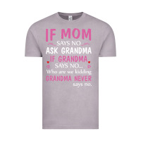 Vintage Zinc if mom says no ask grandma if grandma says no Vintage Tee - artisFamous