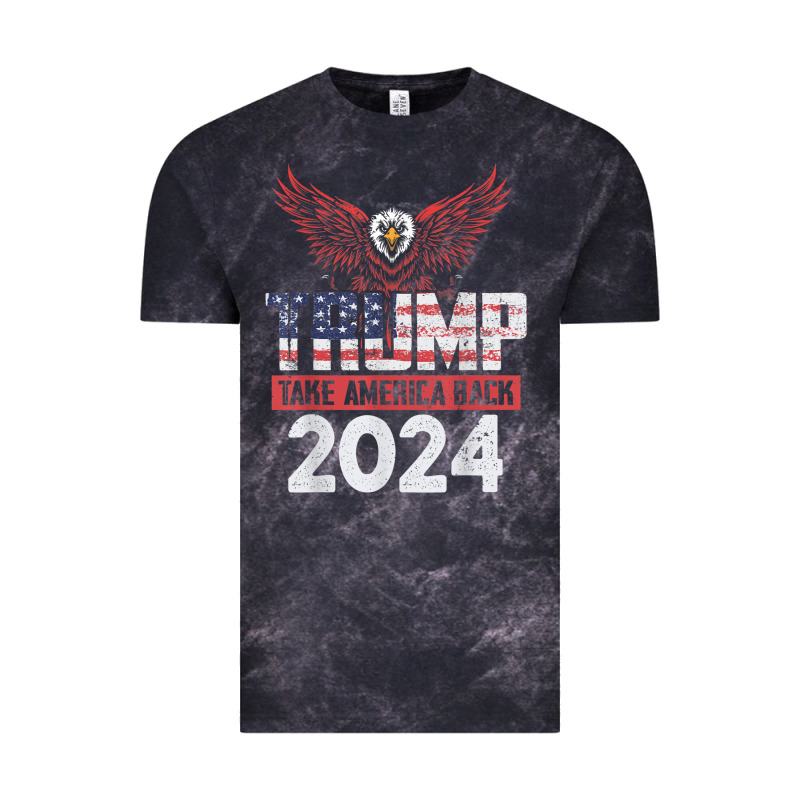 Trump 2024 Take America Back Vintage Tee by artisFamous | Teevron