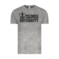 Cloud Rock columbia university Vintage Tee - artisFamous