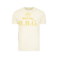Vintage Arctic rbg ruth bader ginsburg Vintage Tee - artisFamous