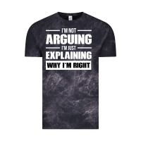 Cloud Black I'M NOT ARGUING I'M JUST EXPLAINING WHY I'M RIGHT FUNNY Vintage Tee - artisFamous