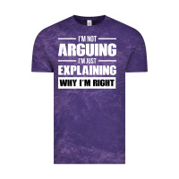 Cloud Purple I'M NOT ARGUING I'M JUST EXPLAINING WHY I'M RIGHT FUNNY Vintage Tee - artisFamous