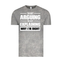 Cloud Rock I'M NOT ARGUING I'M JUST EXPLAINING WHY I'M RIGHT FUNNY Vintage Tee - artisFamous