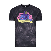 Vintage Skeletor ı Am Not Nice Vintage Tee | Teevron