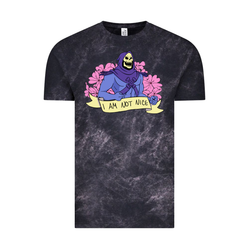 Vintage Skeletor ı Am Not Nice Vintage Tee by artisFamous | Teevron