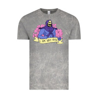 Cloud Rock Vintage Skeletor ı am not nice Vintage Tee - artisFamous