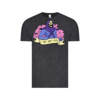 Vintage Black Vintage Skeletor ı am not nice Vintage Tee - artisFamous