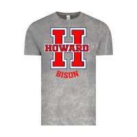 Cloud Rock howard 1867 university Vintage Tee - artisFamous