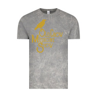 Cloud Rock best of old crow medicine show Vintage Tee - artisFamous