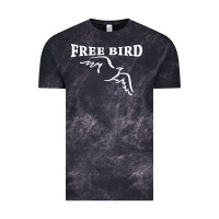Cloud Black lynyrd skynard free bird ronnie van zant Vintage Tee - artisFamous