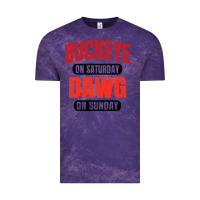 Cloud Purple buckeye on saturday Vintage Tee - artisFamous
