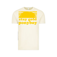 Vintage Arctic stay gold ponyboy the outsiders movie book Vintage Tee - artisFamous