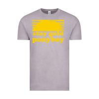Vintage Zinc stay gold ponyboy the outsiders movie book Vintage Tee - artisFamous