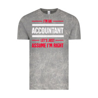 Cloud Rock funny accounting design   gift for accountants Vintage Tee - artisFamous