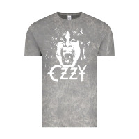 Cloud Rock crazy train vintage rock Vintage Tee - artisFamous