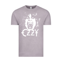 Vintage Zinc crazy train vintage rock Vintage Tee - artisFamous