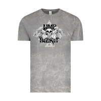 Cloud Rock Limp Bizkit Essential Vintage Tee - artisFamous