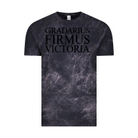 Cloud Black gradarius firmus victoria Vintage Tee - artisFamous