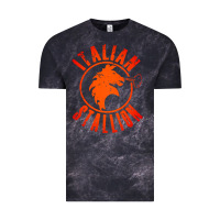 Cloud Black italian stallion Vintage Tee - artisFamous