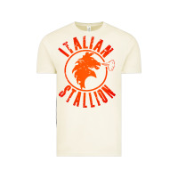 Vintage Arctic italian stallion Vintage Tee - artisFamous