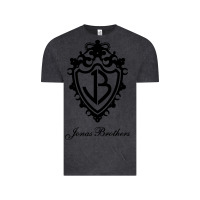 Vintage Black jona's brothers Vintage Tee - artisFamous