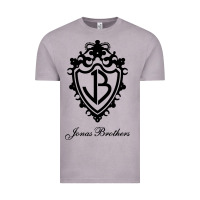 Vintage Zinc jona's brothers Vintage Tee - artisFamous