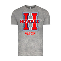 Cloud Rock howard 1867 university Vintage Tee - artisFamous