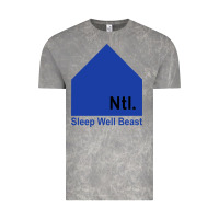 Cloud Rock the national party Vintage Tee - artisFamous