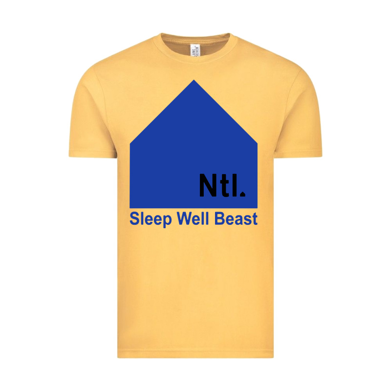 The National Party Vintage Tee by artisFamous | Teevron