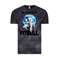 Cloud Black merch mr worldwide pit bull Vintage Tee - artisFamous