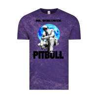 Cloud Purple merch mr worldwide pit bull Vintage Tee - artisFamous