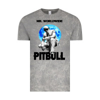 Cloud Rock merch mr worldwide pit bull Vintage Tee - artisFamous