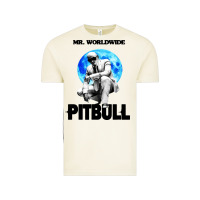 Vintage Arctic merch mr worldwide pit bull Vintage Tee - artisFamous