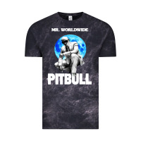 Merch Mr Worldwide Pit Bull Vintage Tee | Teevron