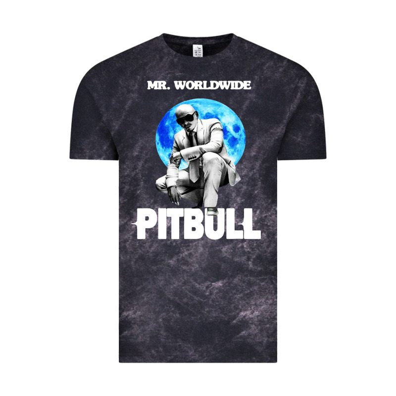 Merch Mr Worldwide Pit Bull Vintage Tee by artisFamous | Teevron