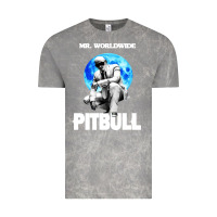 Cloud Rock merch mr worldwide pit bull Vintage Tee - artisFamous