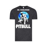 Vintage Black merch mr worldwide pit bull Vintage Tee - artisFamous