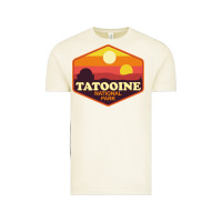 Vintage Arctic tatooine national park Vintage Tee - artisFamous