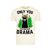 Vintage Arctic only you can prevent drama llama Vintage Tee - artisFamous