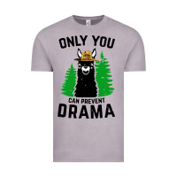 Vintage Zinc only you can prevent drama llama Vintage Tee - artisFamous
