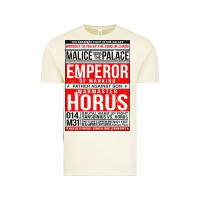 Vintage Arctic malice above the palace essential Vintage Tee - artisFamous