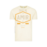Vintage Arctic Amir Personalized Name Birthday Gift Vintage Tee - artisFamous