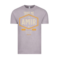 Vintage Zinc Amir Personalized Name Birthday Gift Vintage Tee - artisFamous