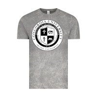 Cloud Rock concordia university irvine Vintage Tee - artisFamous